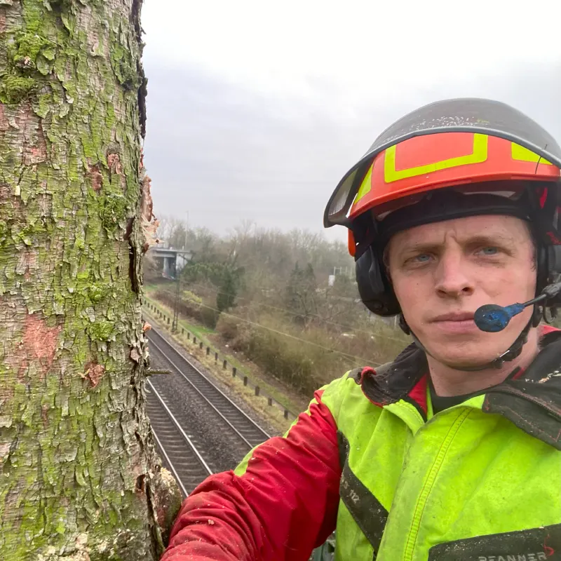 Astreine Baumarbeiten Astreine Baumarbeiten