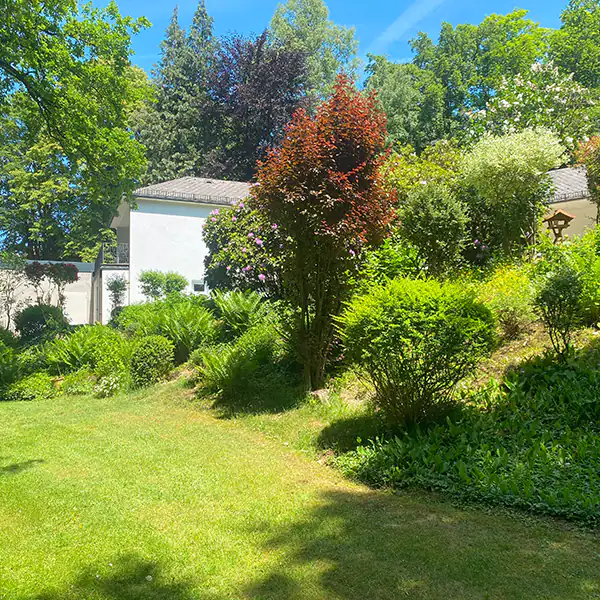 Astreine Baumarbeiten Gartenpflege Astreine Baumarbeiten Gartenpflege