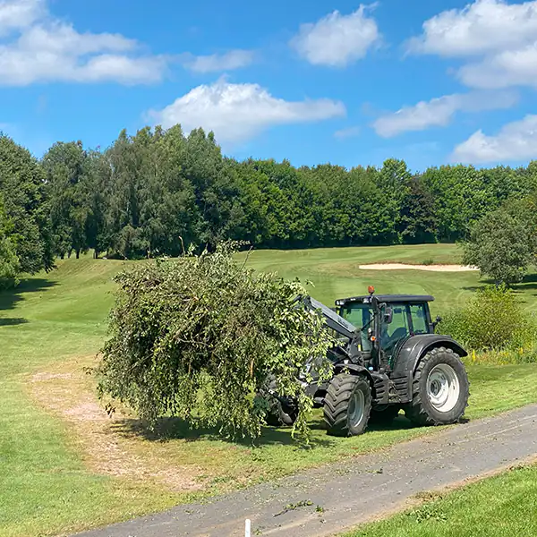 Astreine Baumarbeiten Landschaftspflege Astreine Baumarbeiten Landschaftspflege